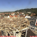 11_00-nest.jpg
