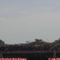 11_05-mast.jpg