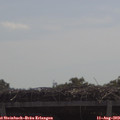 11_10-mast.jpg