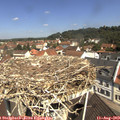 11_10-nest.jpg