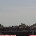 11_15-mast.jpg