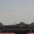 11_20-mast.jpg