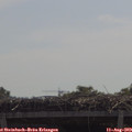11_25-mast.jpg