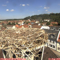 11_25-nest.jpg