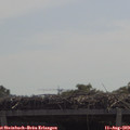 11_30-mast.jpg