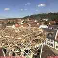 11_30-nest.jpg