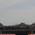 11_35-mast.jpg
