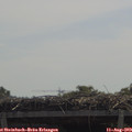 11_40-mast.jpg