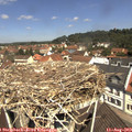 11_40-nest.jpg