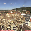 11_45-nest.jpg