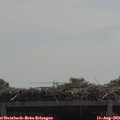 11_50-mast.jpg