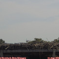 11_55-mast.jpg