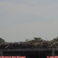 12_00-mast.jpg