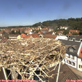 12_10-nest.jpg