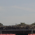 12_15-mast.jpg