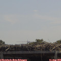 12_25-mast.jpg
