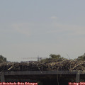 12_30-mast.jpg
