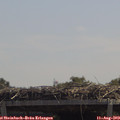 12_35-mast.jpg