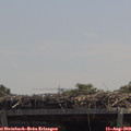 12_40-mast.jpg