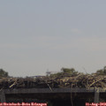 12_45-mast.jpg