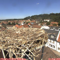12_45-nest.jpg