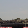 12_50-mast.jpg