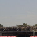 12_55-mast.jpg