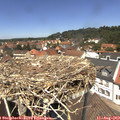 12_55-nest.jpg