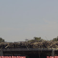 13_00-mast.jpg