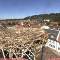 13_00-nest.jpg