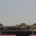 13_05-mast.jpg