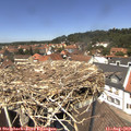13_05-nest.jpg