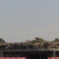 13_15-mast.jpg