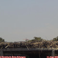 13_20-mast.jpg
