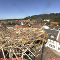 13_25-nest.jpg