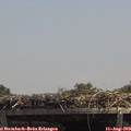 13_35-mast.jpg
