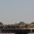 13_40-mast.jpg