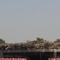 13_45-mast.jpg
