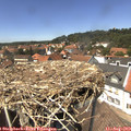 13_55-nest.jpg
