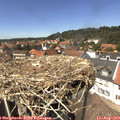 14_00-nest.jpg