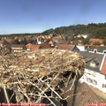 14_10-nest.jpg