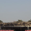 14_25-mast.jpg