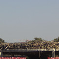 14_40-mast.jpg