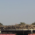 14_55-mast.jpg