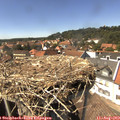 14_55-nest.jpg