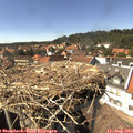 15_15-nest.jpg