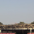 15_20-mast.jpg