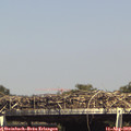 15_30-mast.jpg