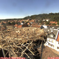 15_35-nest.jpg