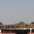 15_45-mast.jpg